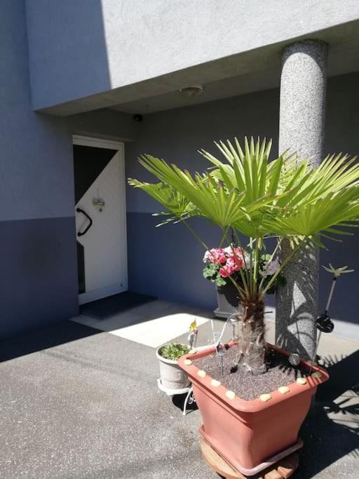 Appartement Agreable Haguenau Ngoại thất bức ảnh